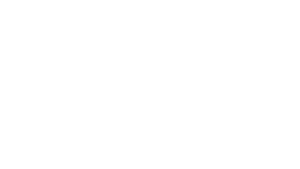 Logo-incmty